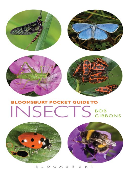 Title details for Pocket Guide to Insects by Bob Gibbons - Available